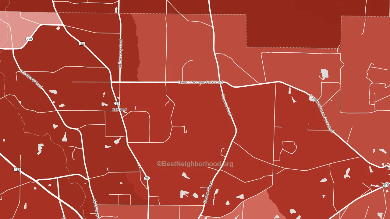 New Elm, GA block-group political-lean map