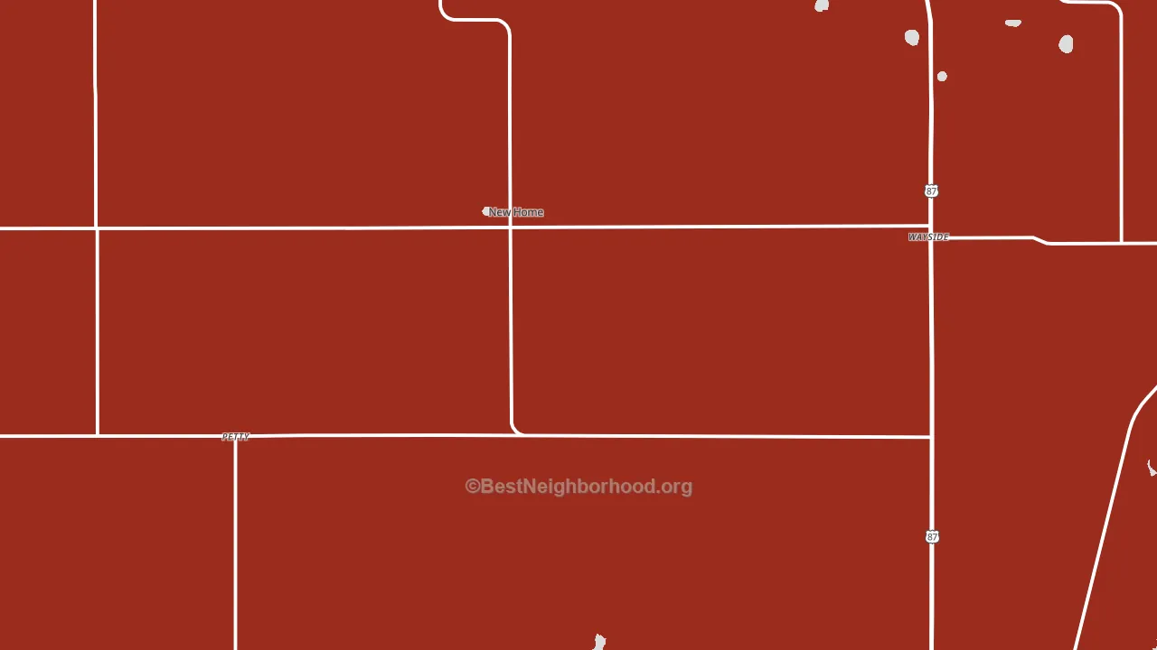 New Home, TX block-group political-lean map