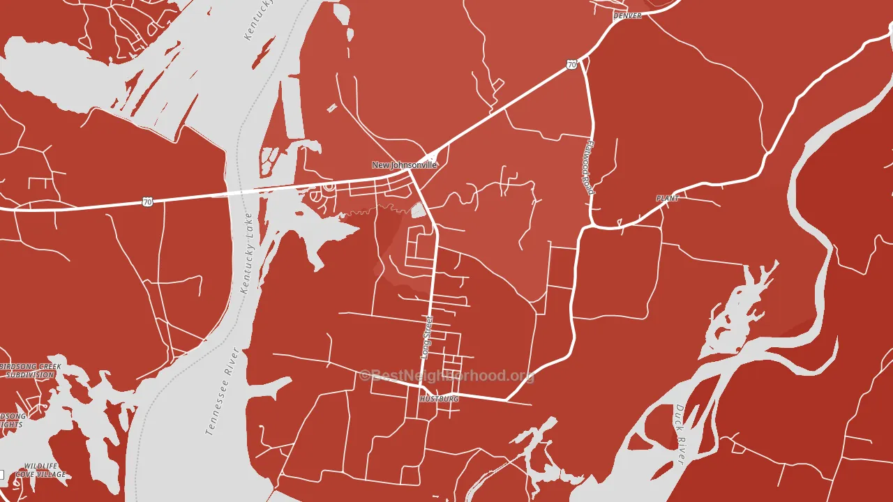 New Johnsonville, TN block-group political-lean map