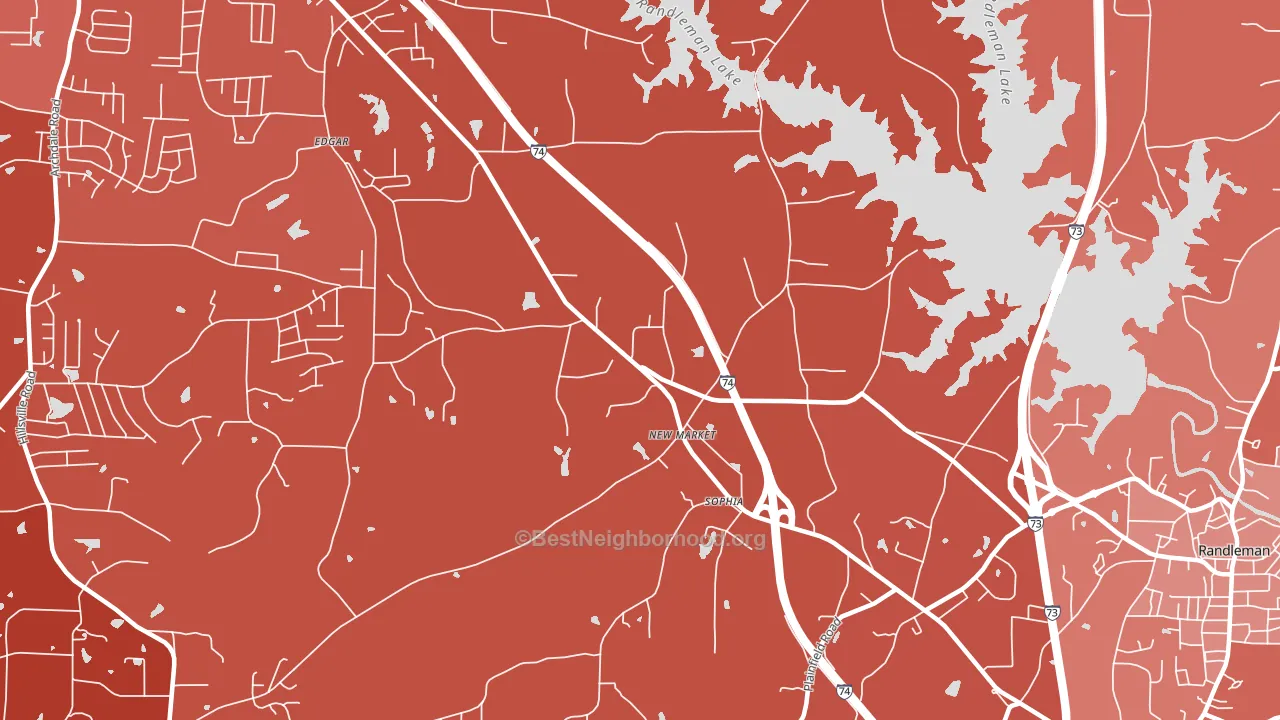 New Market, NC block-group political-lean map