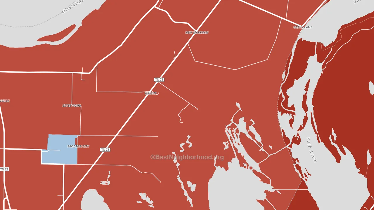 New Markham, TN block-group political-lean map