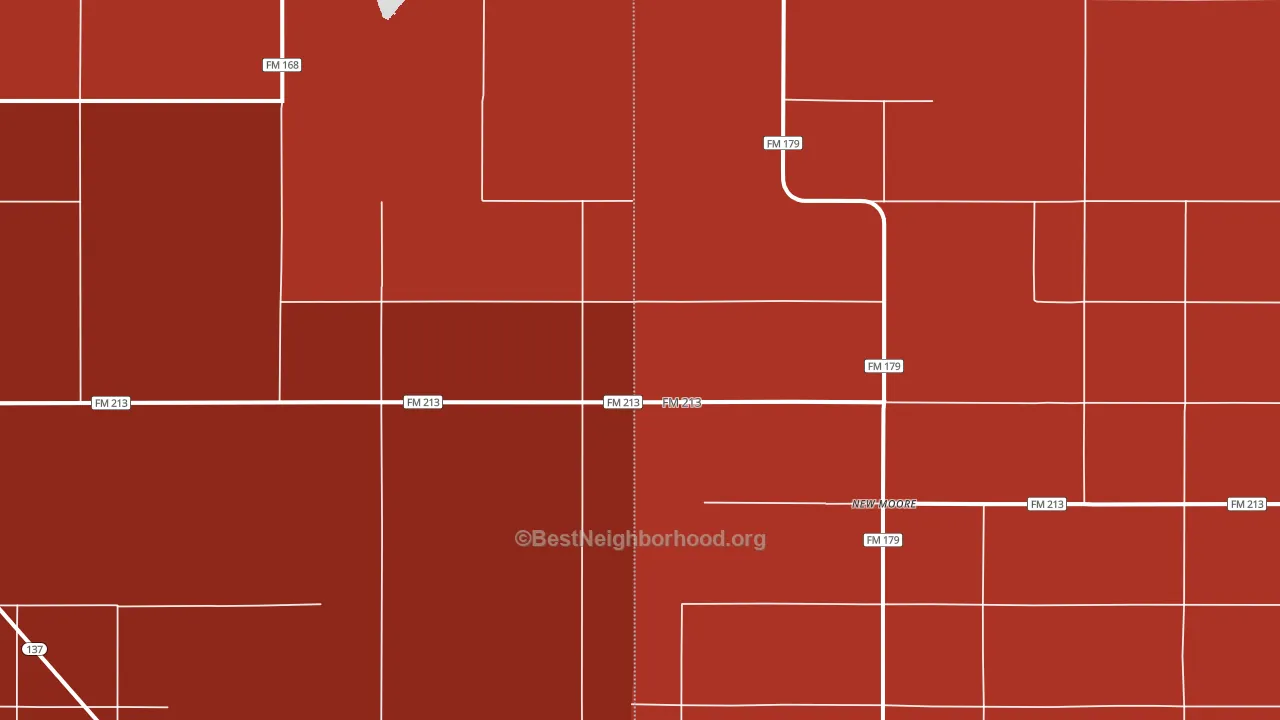 New Moore, TX block-group political-lean map