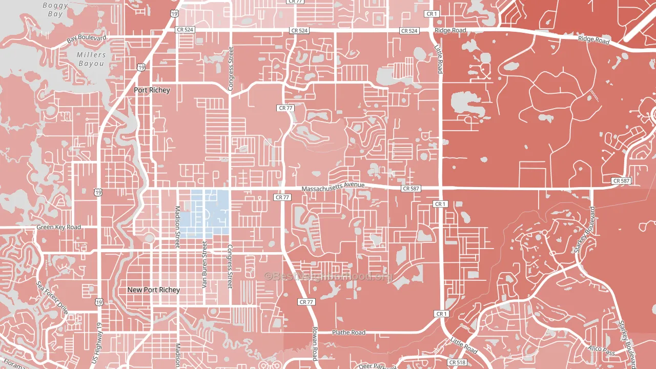 New Port Richey East, FL block-group political-lean map