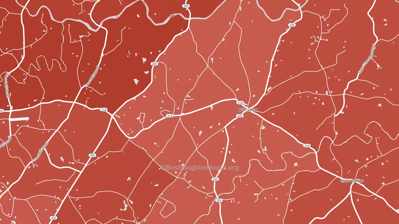 New Salem, NC block-group political-lean map