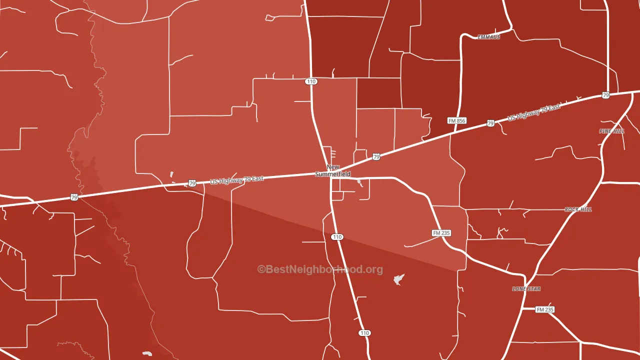 New Summerfield, TX block-group political-lean map
