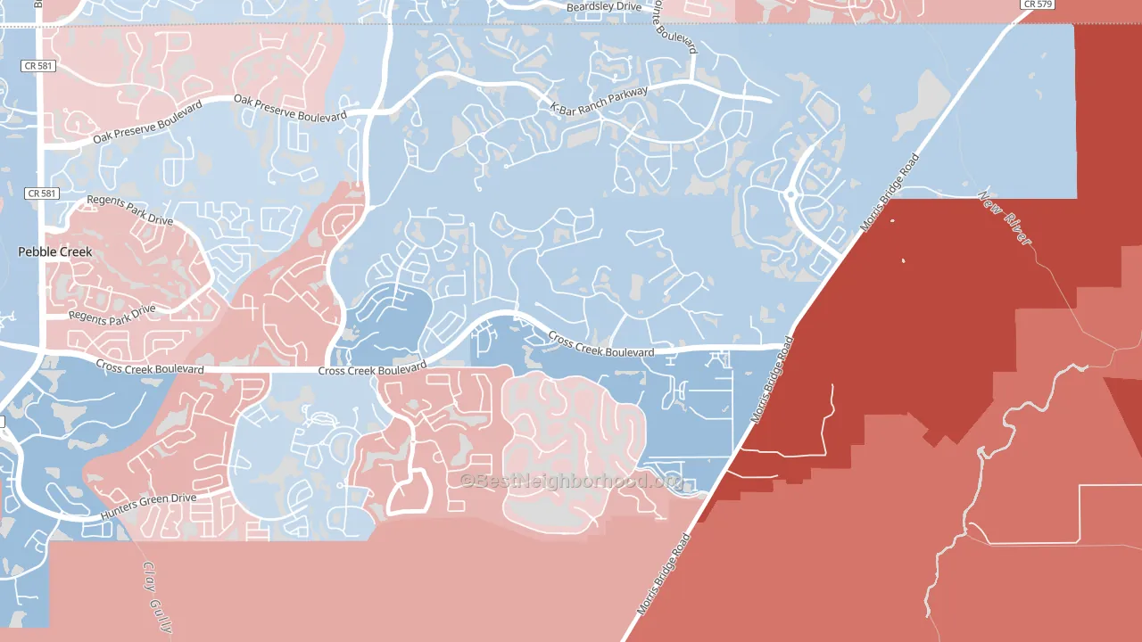 New Tampa, Tampa, FL block-group political-lean map