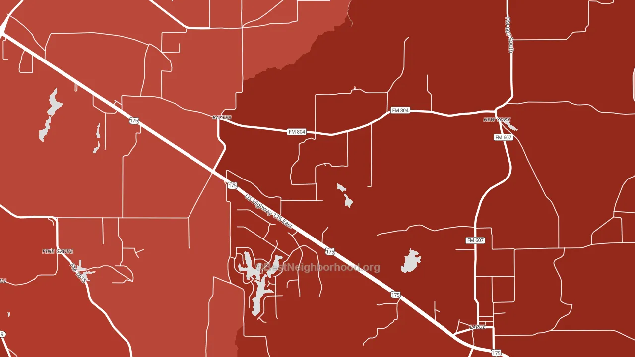 New York, TX block-group political-lean map