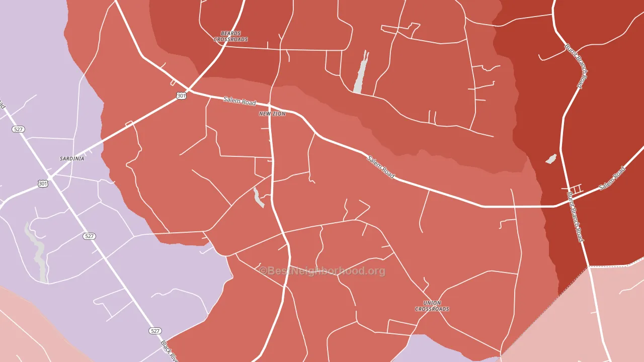 New Zion, SC block-group political-lean map