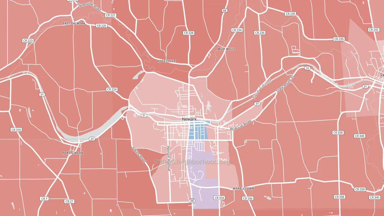 Newark, NY block-group political-lean map