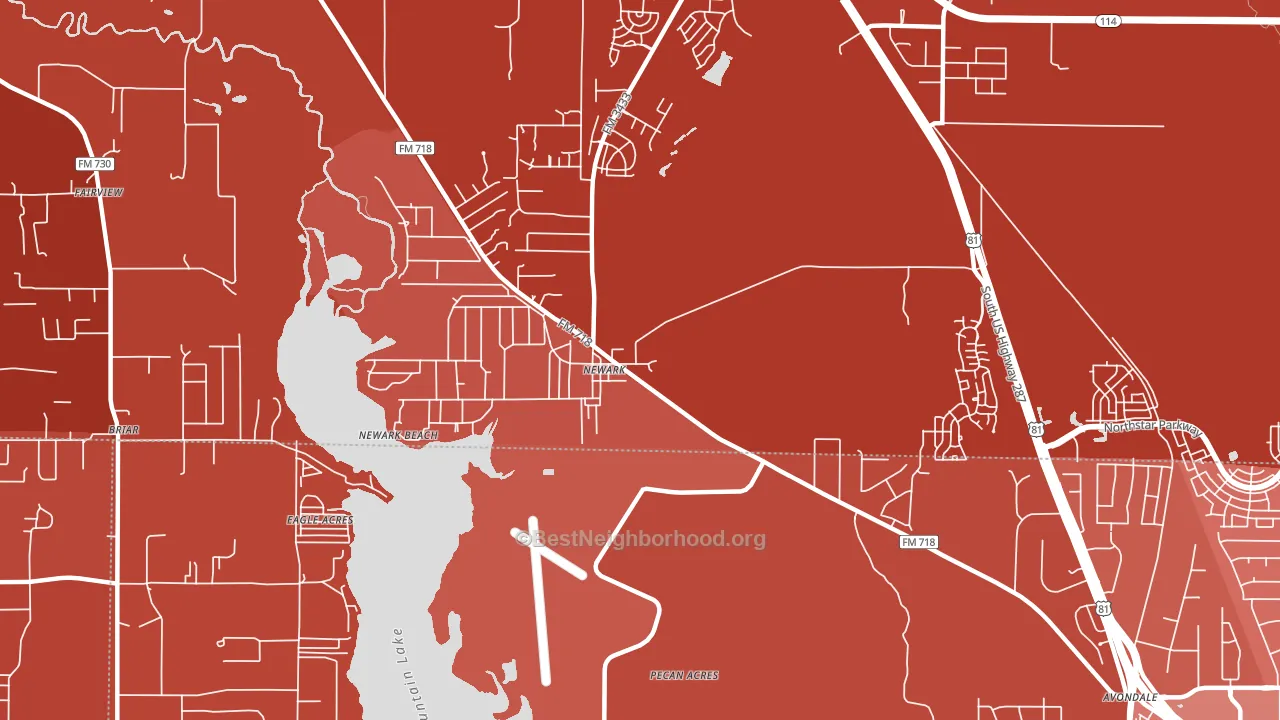Newark, TX block-group political-lean map