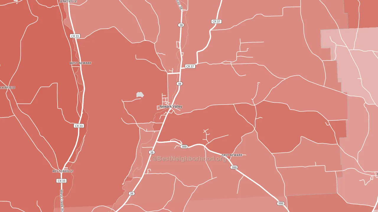 Newark Valley, NY block-group political-lean map