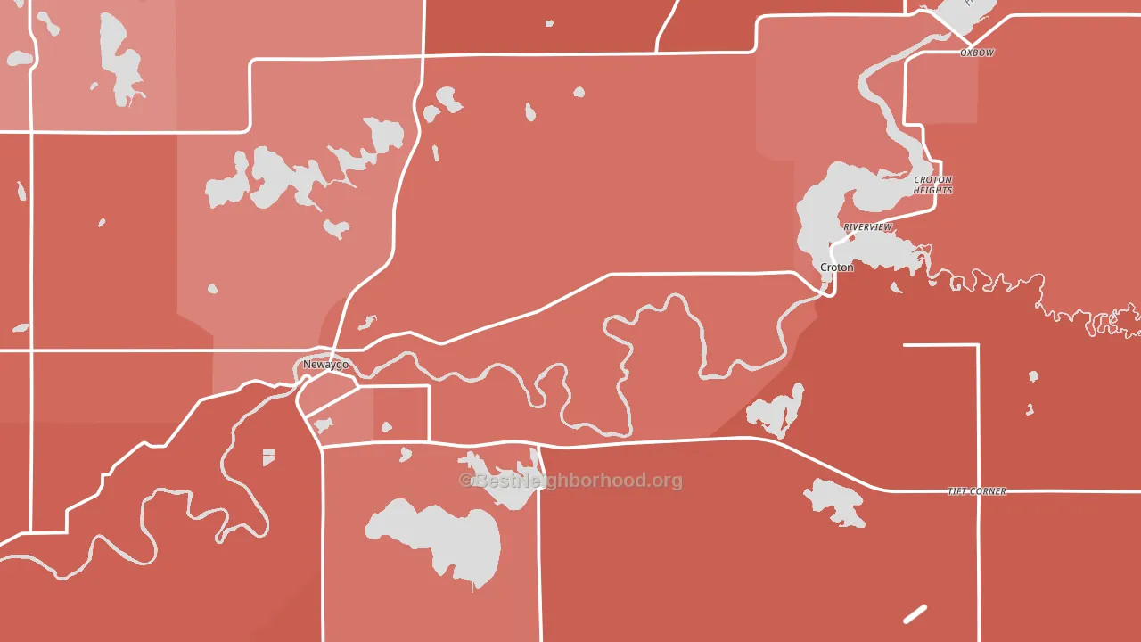 Newaygo, MI block-group political-lean map