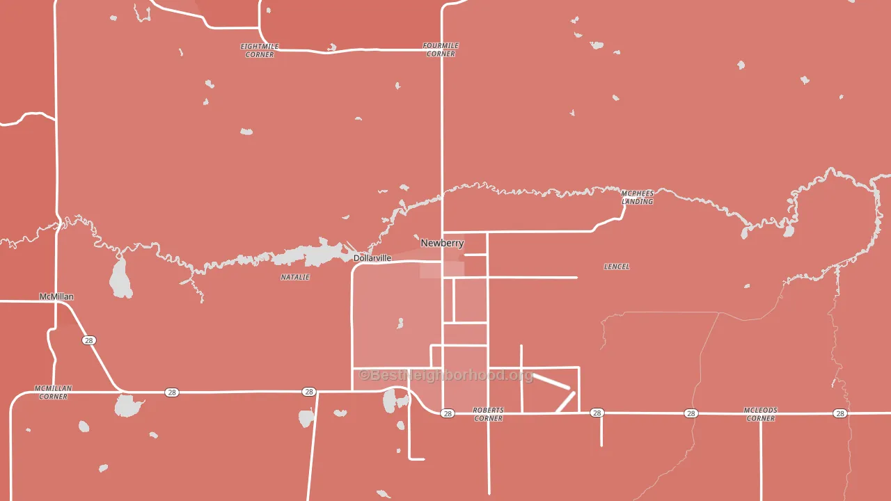 Newberry, MI block-group political-lean map