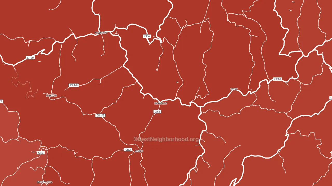 Newdale, WV block-group political-lean map