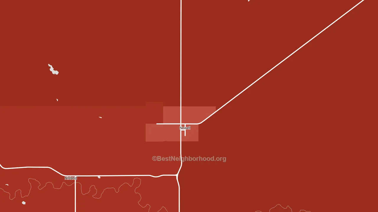 Newell, SD block-group political-lean map