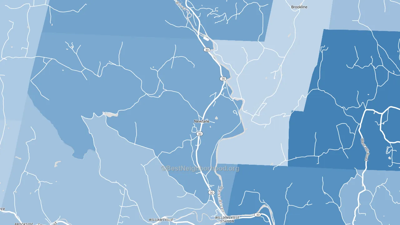 Newfane, VT block-group political-lean map