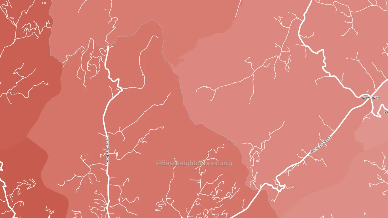 Newfound, NC block-group political-lean map