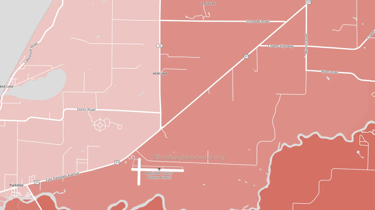 Newland, MI block-group political-lean map