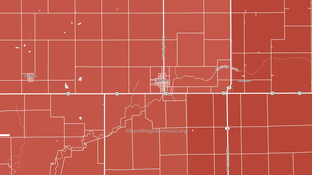 Newman, IL block-group political-lean map