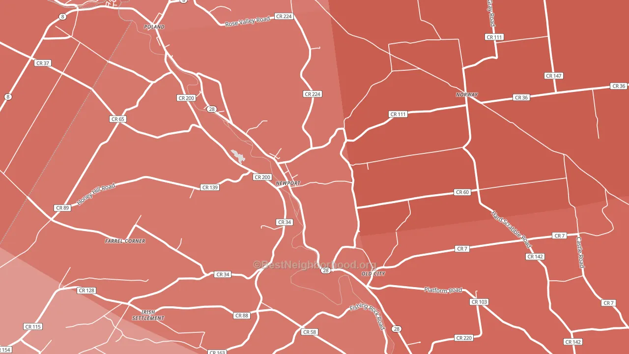 Newport, NY block-group political-lean map