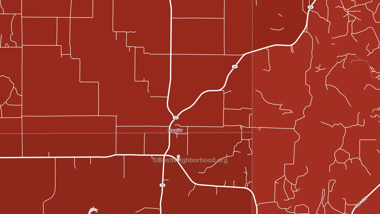 Newport, TX block-group political-lean map