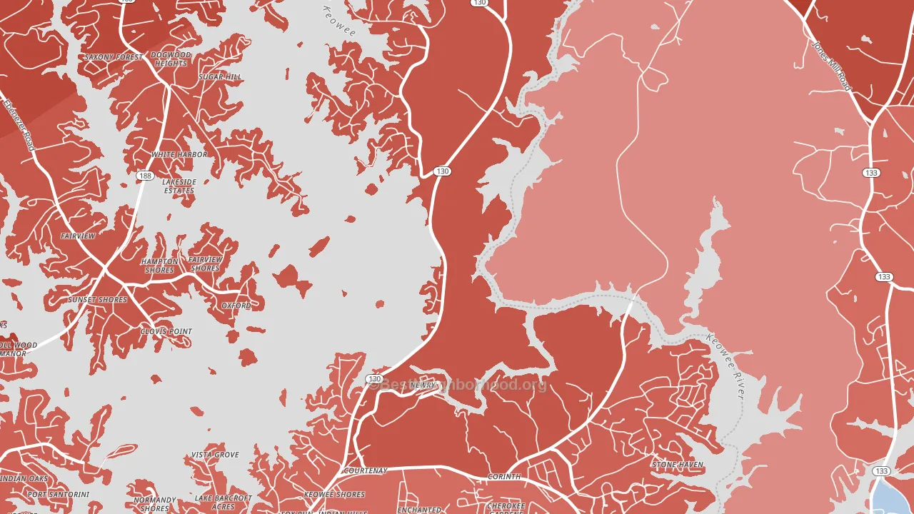 Newry, SC block-group political-lean map