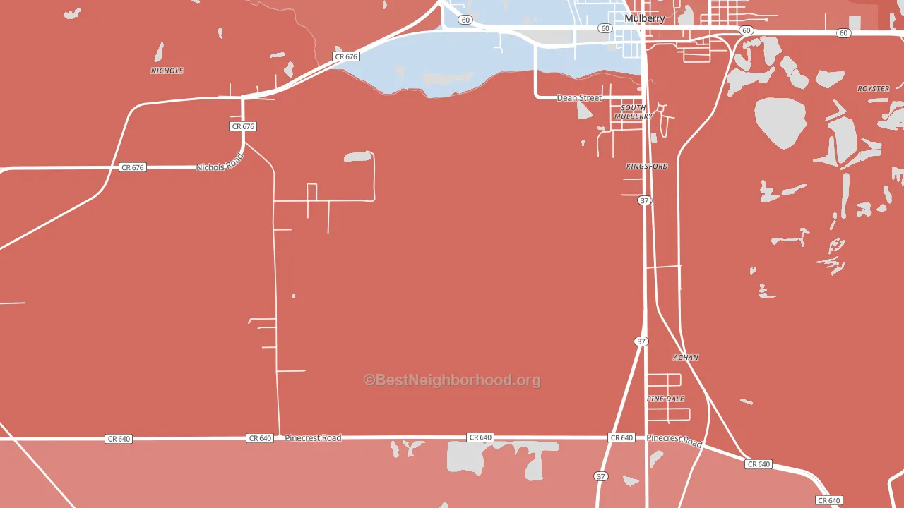 Nichols, FL block-group political-lean map