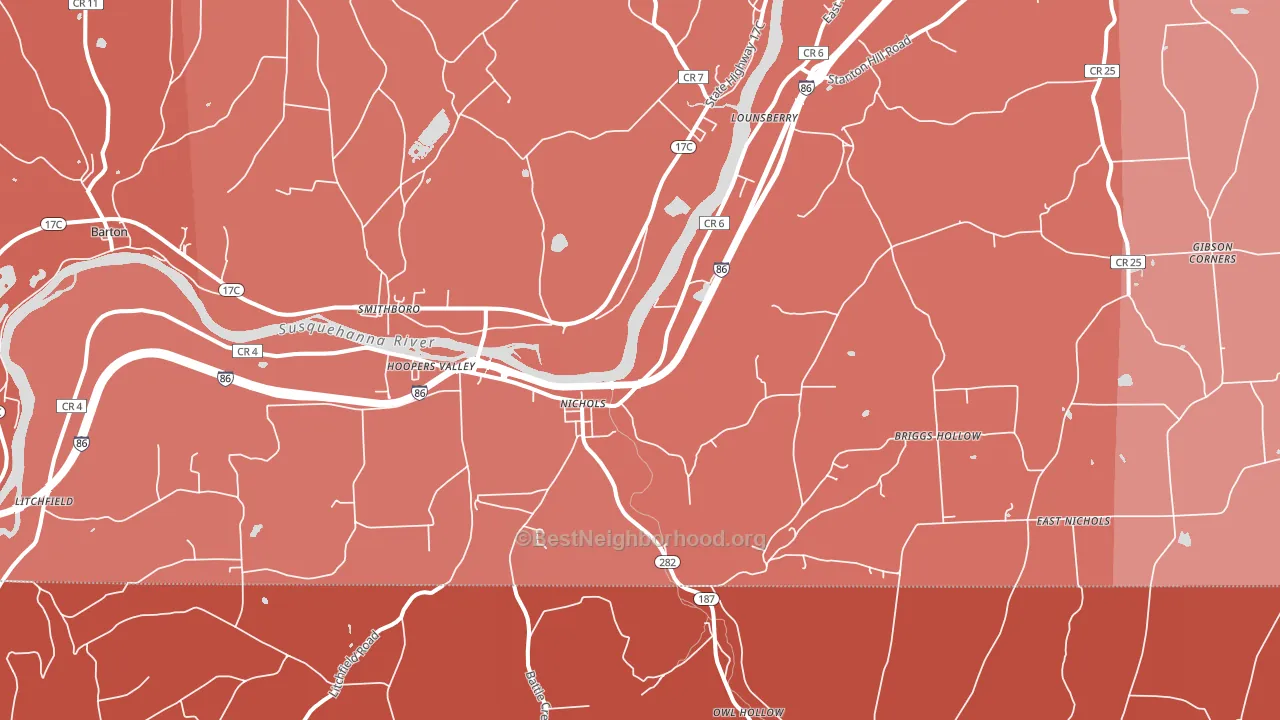 Nichols, NY block-group political-lean map