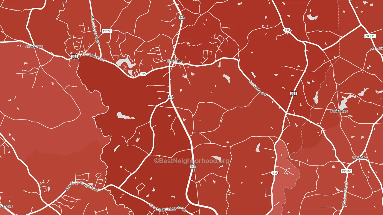 Nicholson, GA block-group political-lean map