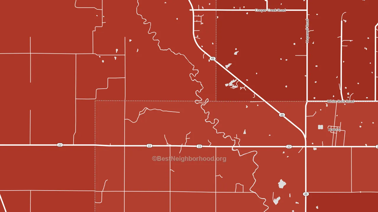 Nida, OK block-group political-lean map