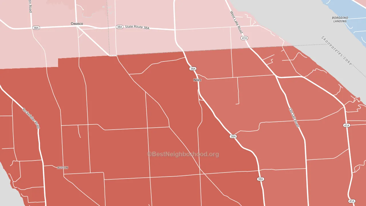 Niles, NY block-group political-lean map