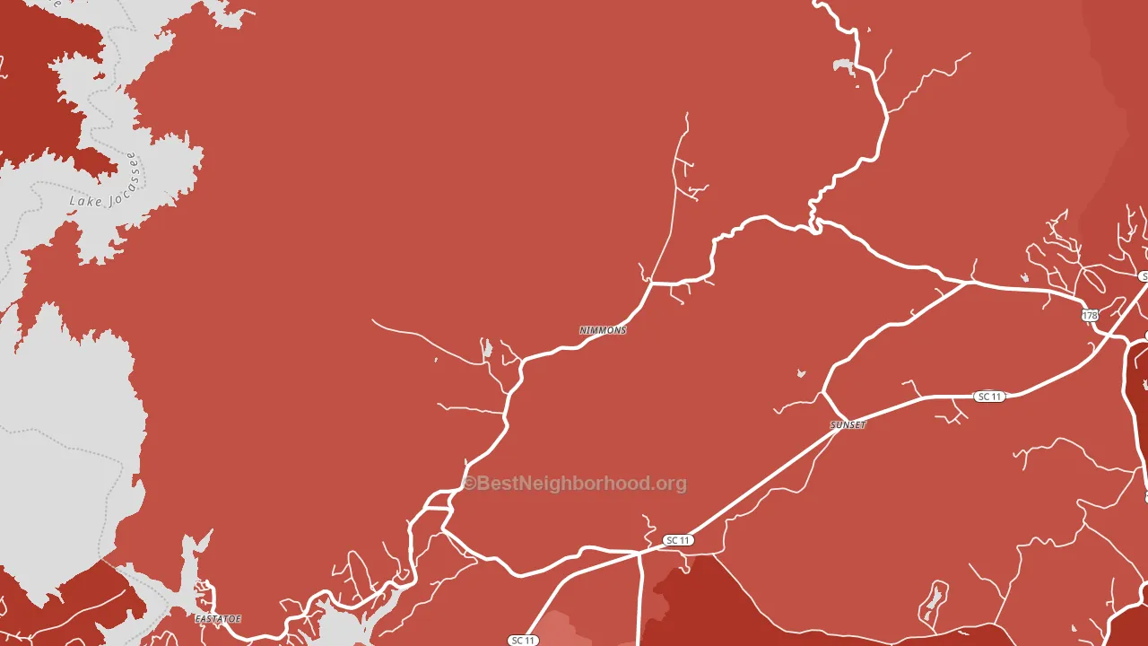 Nimmons, SC block-group political-lean map