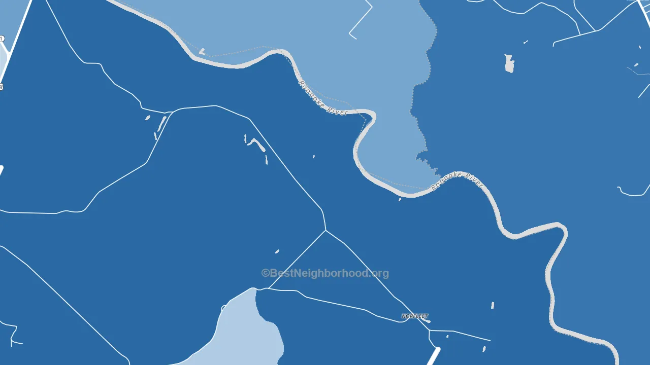Norfleet, NC block-group political-lean map