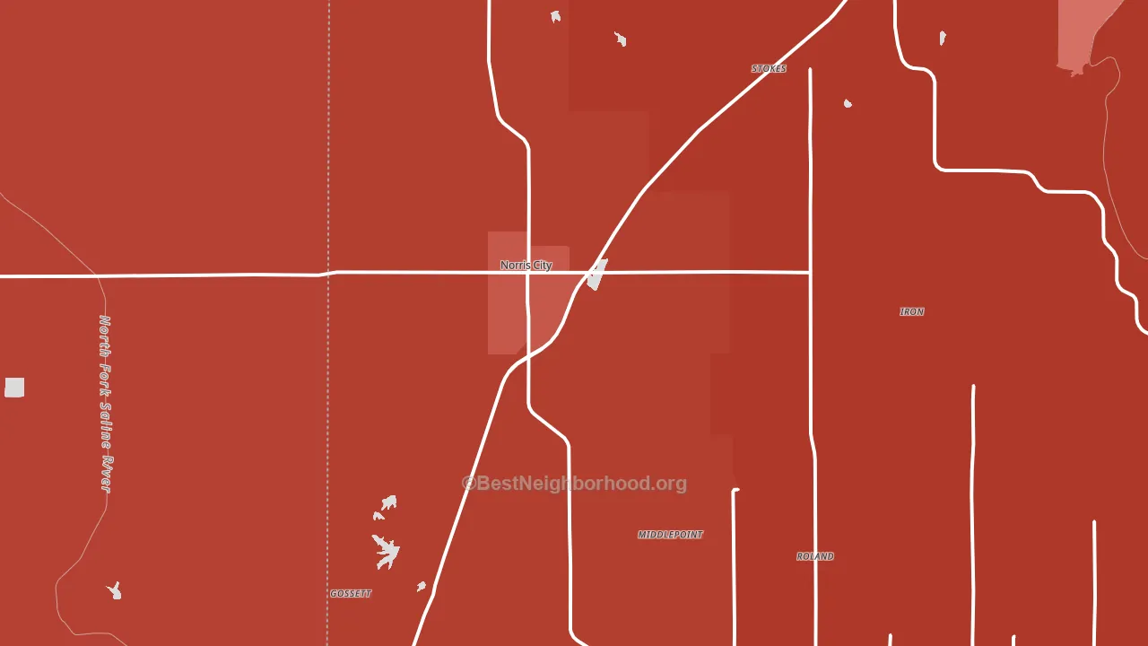 Norris City, IL block-group political-lean map