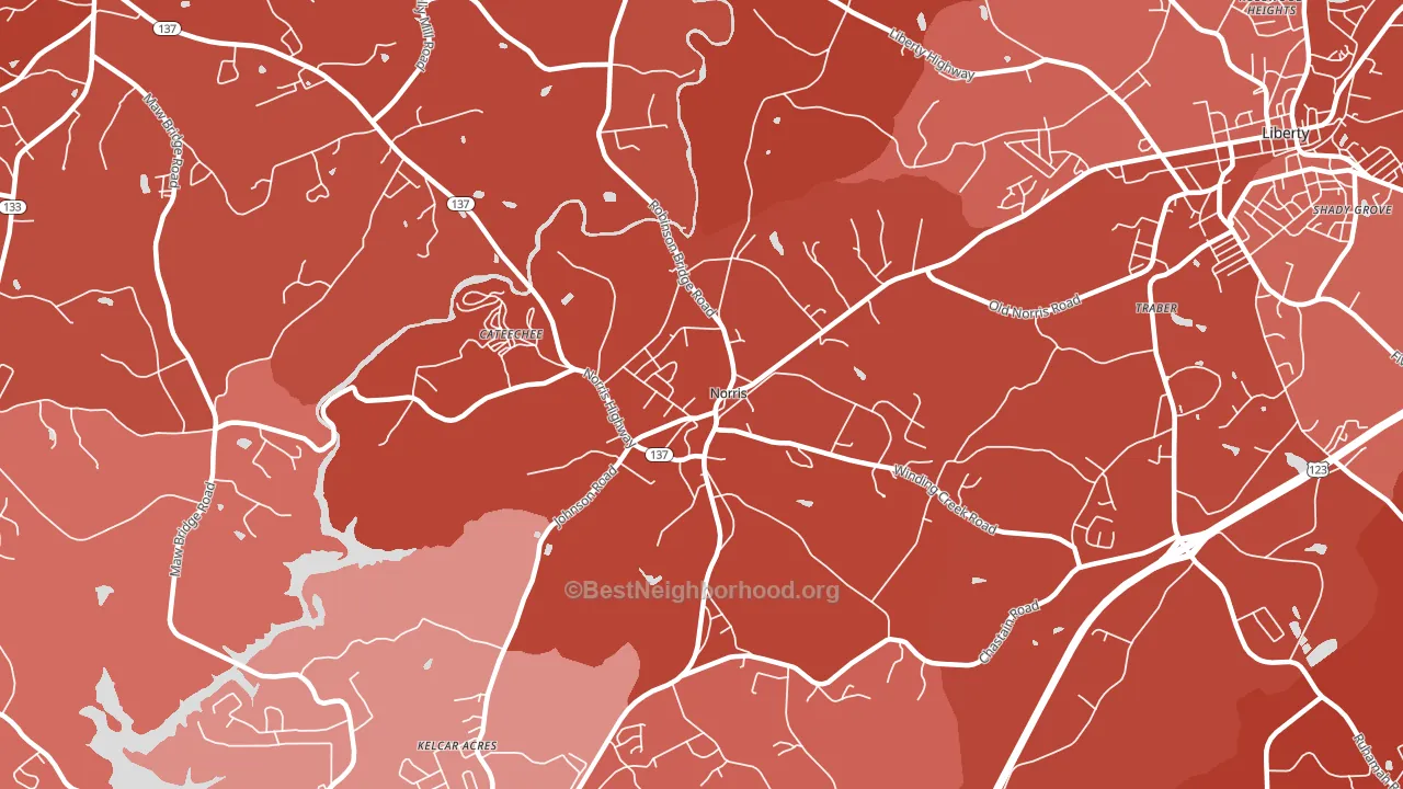 Norris, SC block-group political-lean map