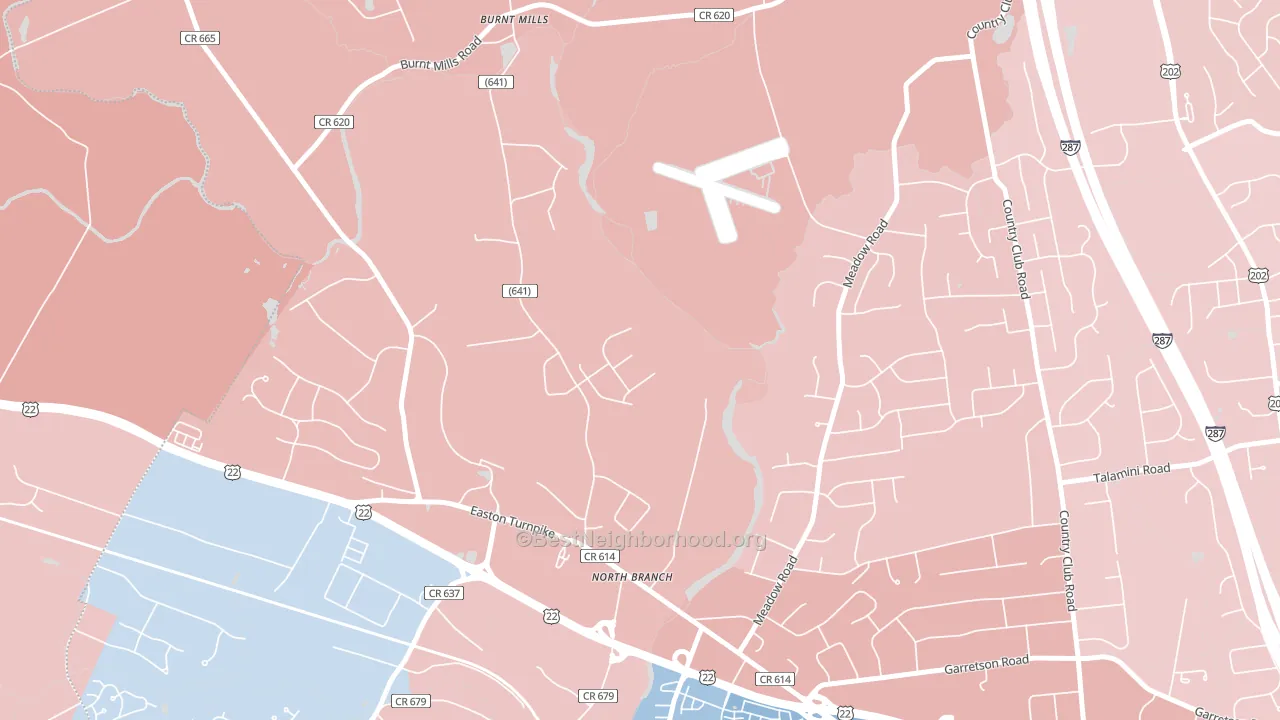 North Branch Depot, NJ block-group political-lean map