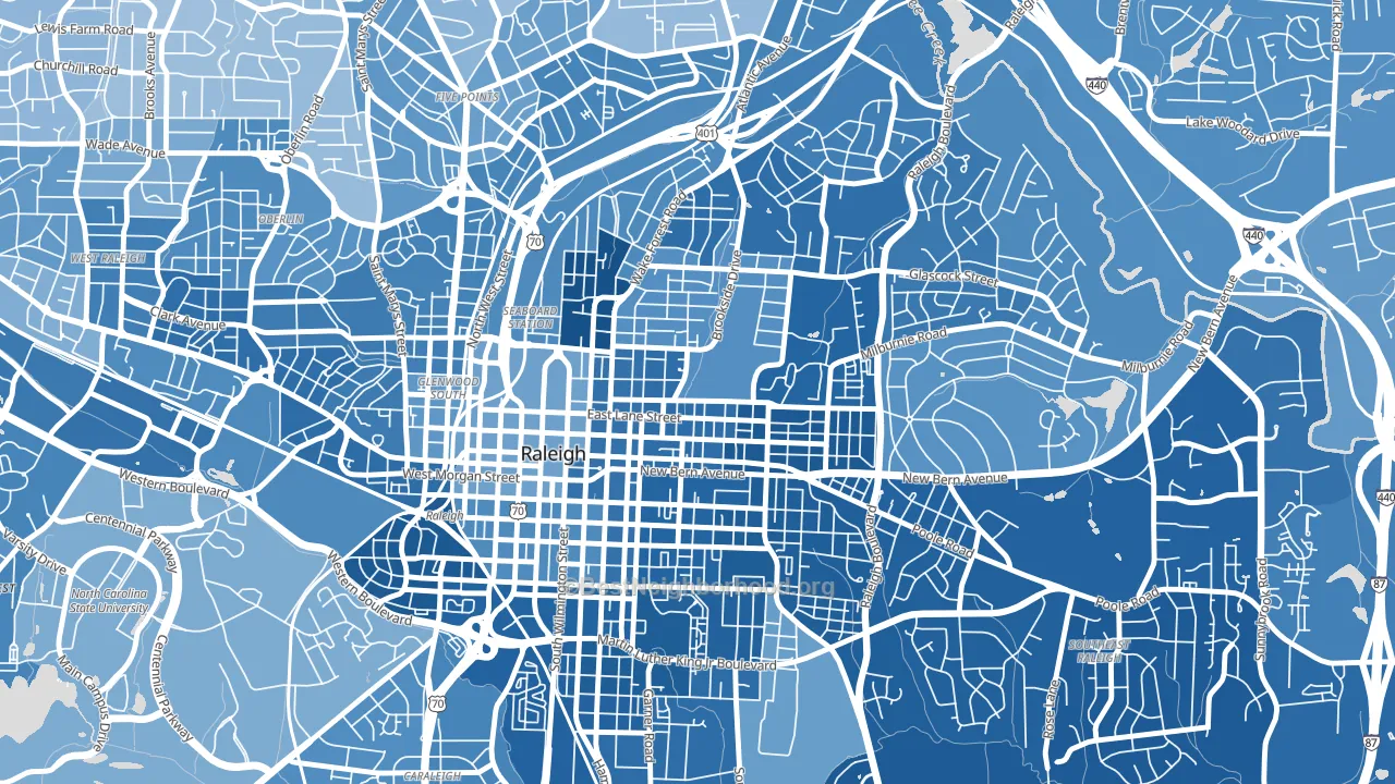 North Central, Raleigh, NC block-group political-lean map