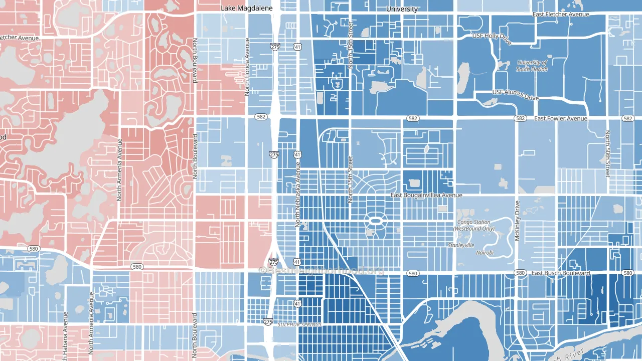 North Tampa, Tampa, FL block-group political-lean map