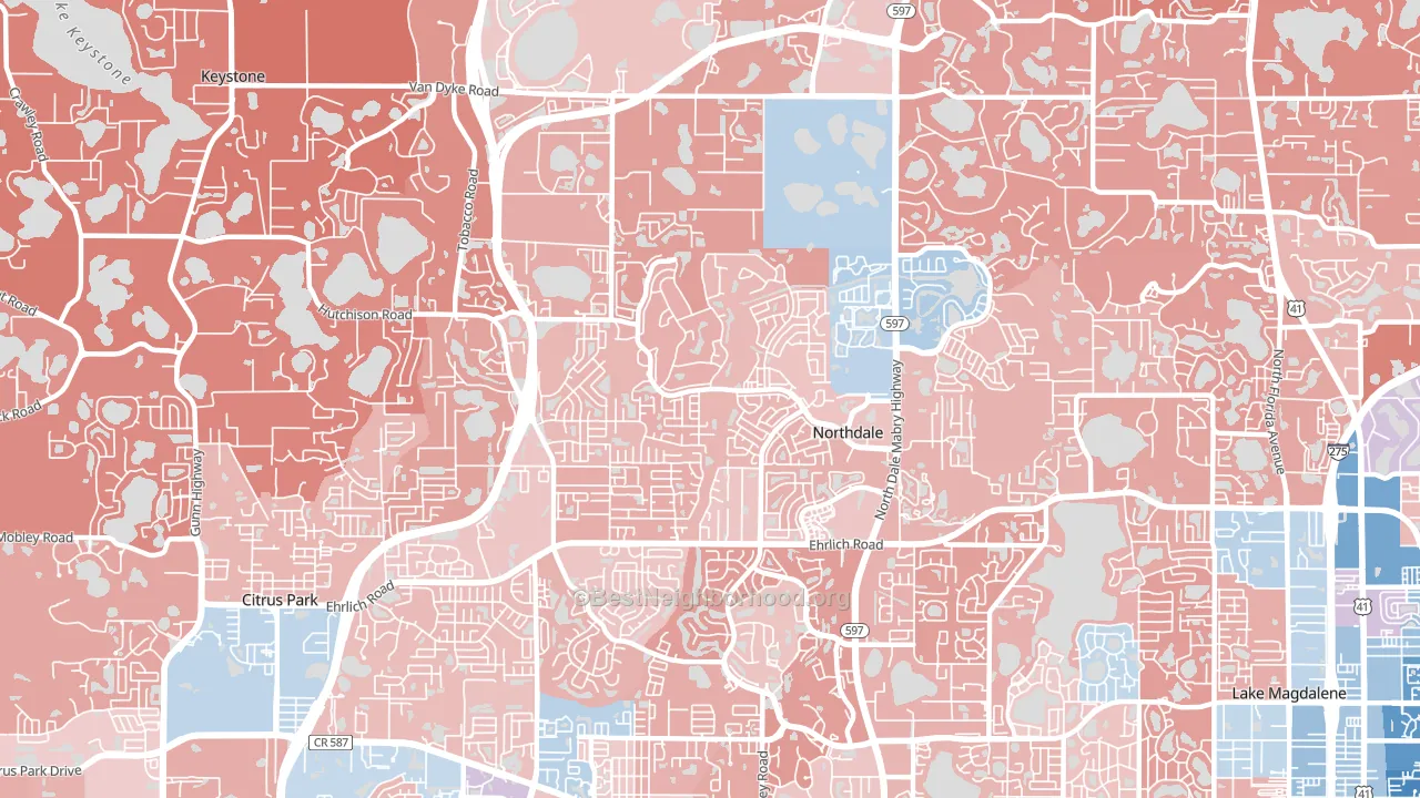 Northdale, FL block-group political-lean map