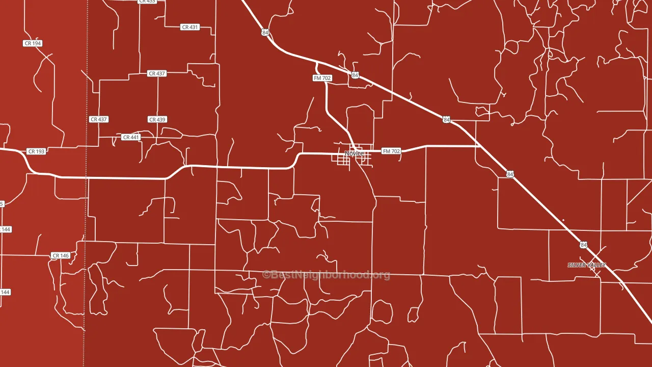 Novice, TX block-group political-lean map
