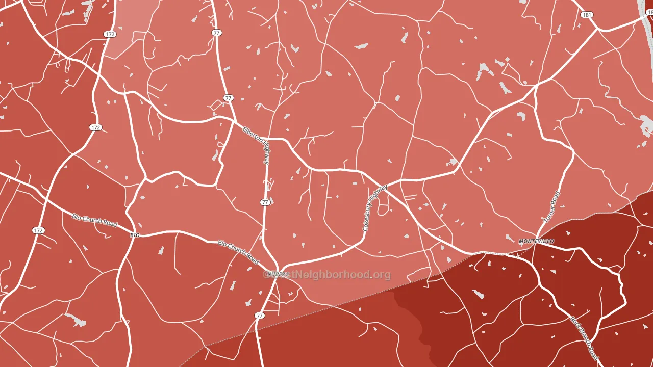 Nuberg, GA block-group political-lean map