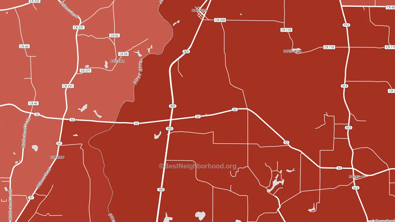 Oakfield, GA block-group political-lean map