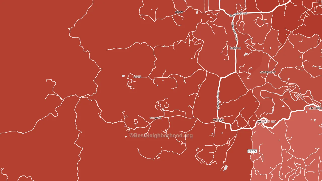 Oasis, GA block-group political-lean map