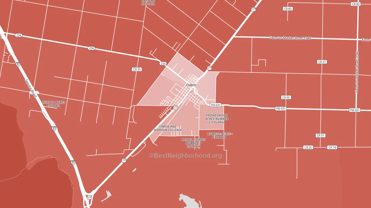 Odem, TX block-group political-lean map