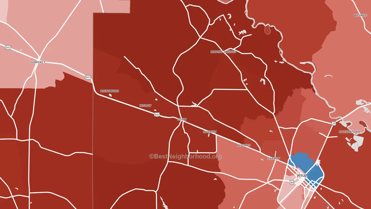 Odum, GA block-group political-lean map
