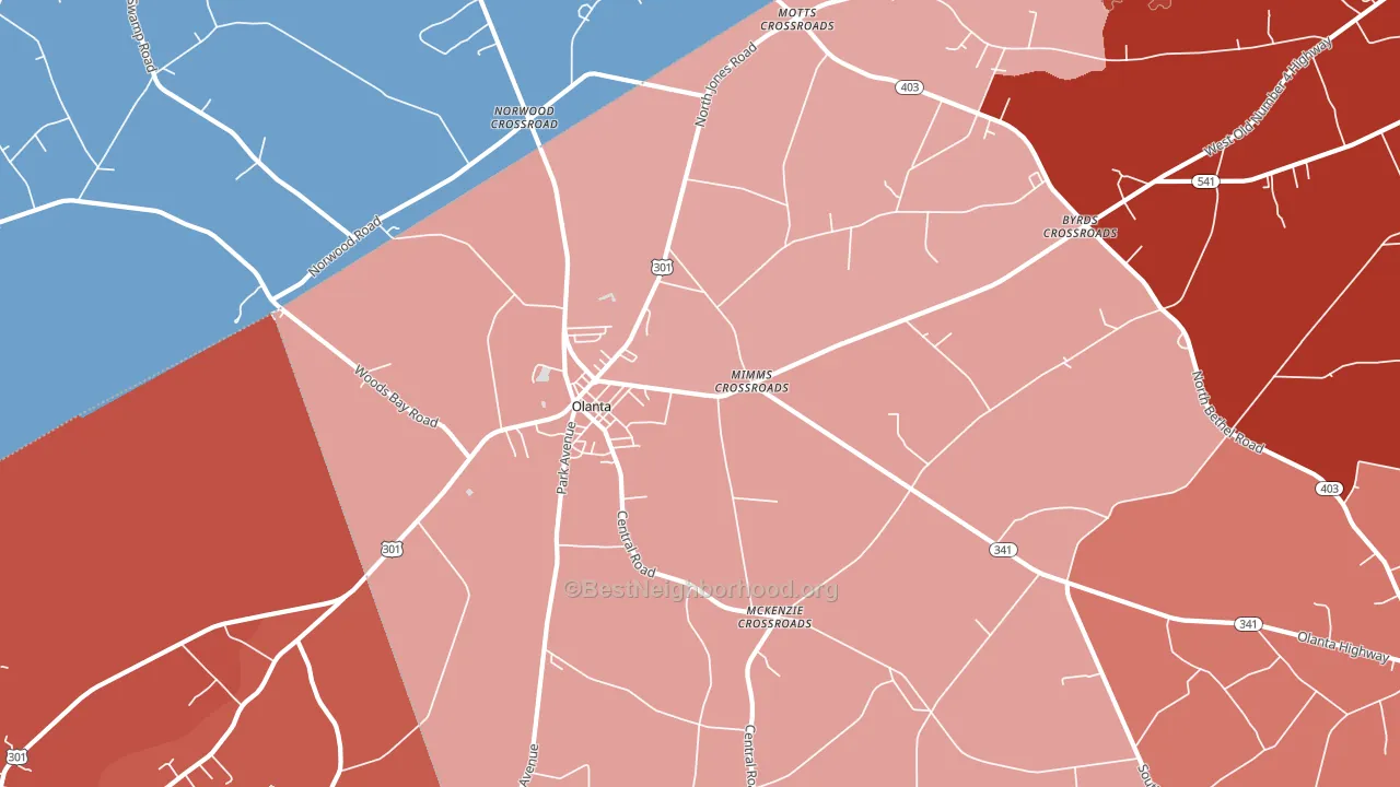 Olanta, SC block-group political-lean map