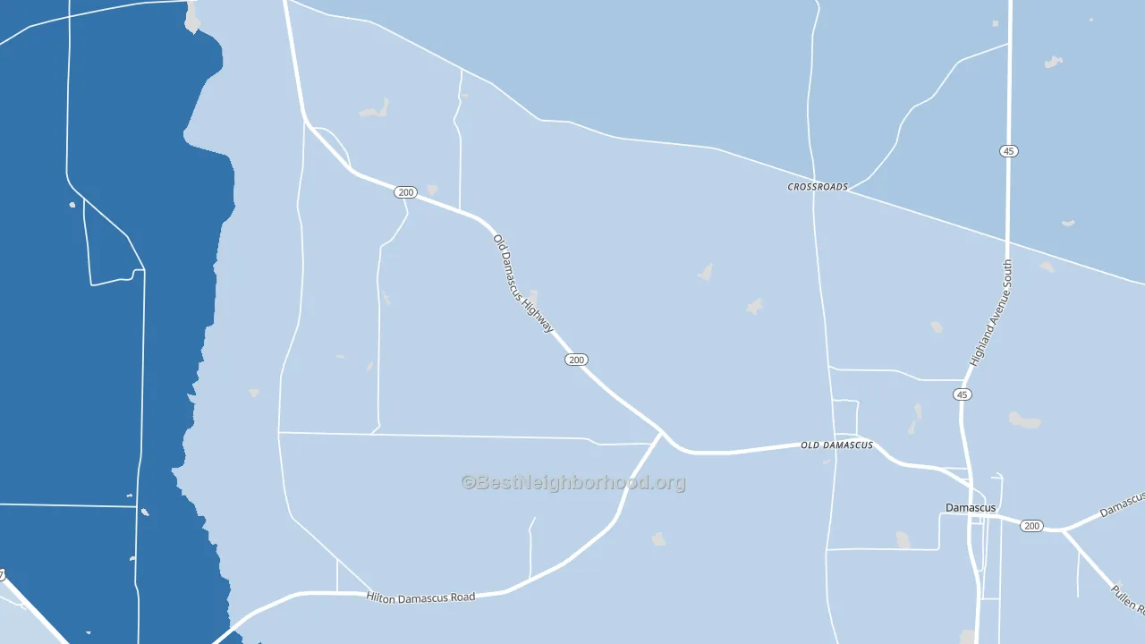Old Damascus, GA block-group political-lean map