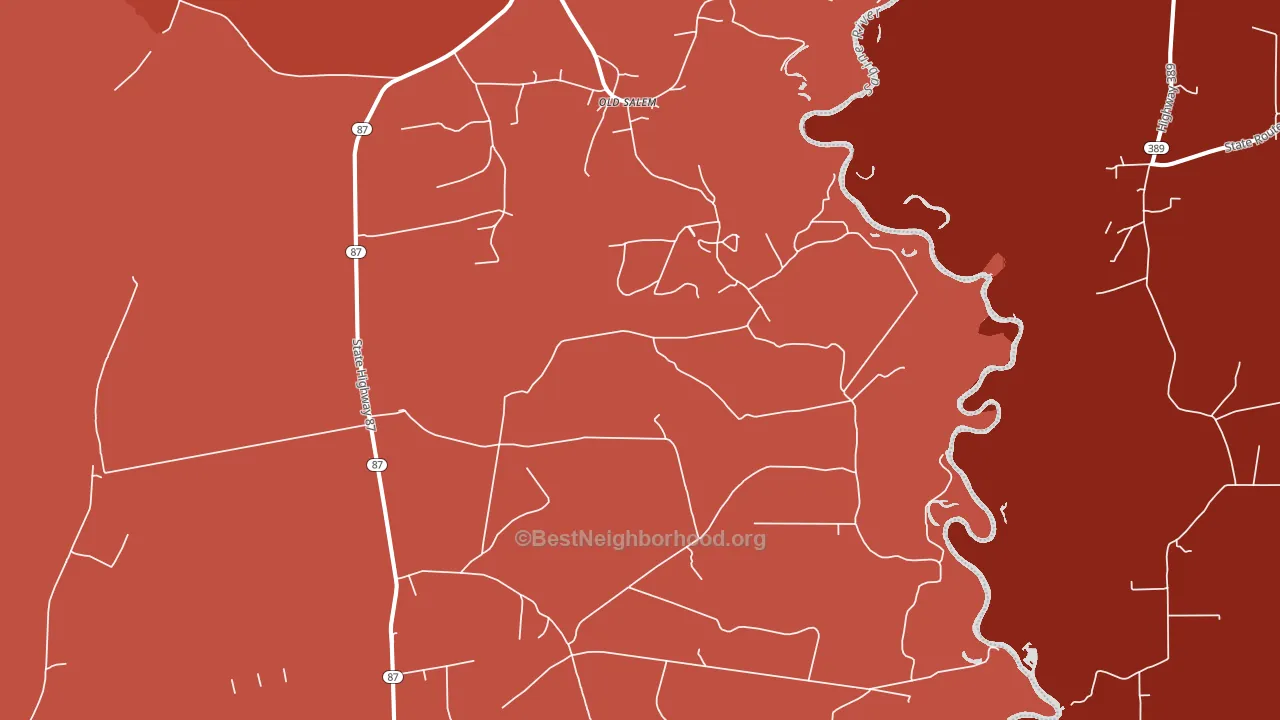 Old Salem, TX block-group political-lean map