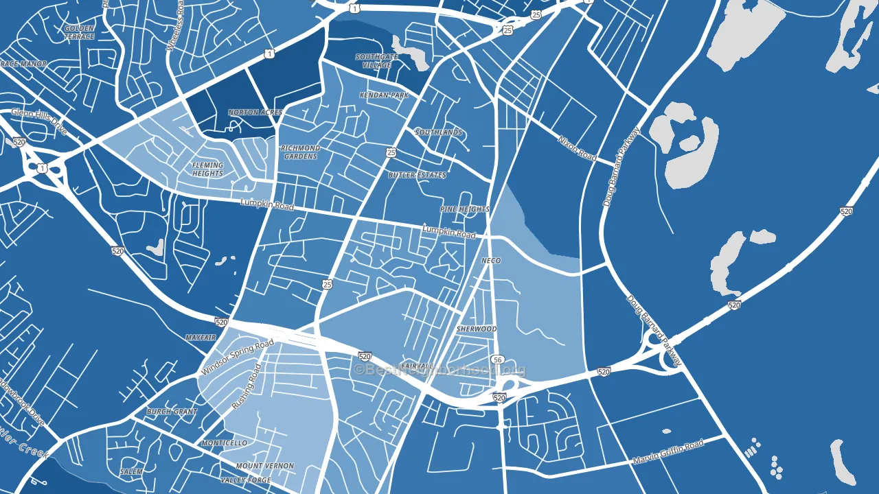 Old Savannah, Augusta, GA block-group political-lean map