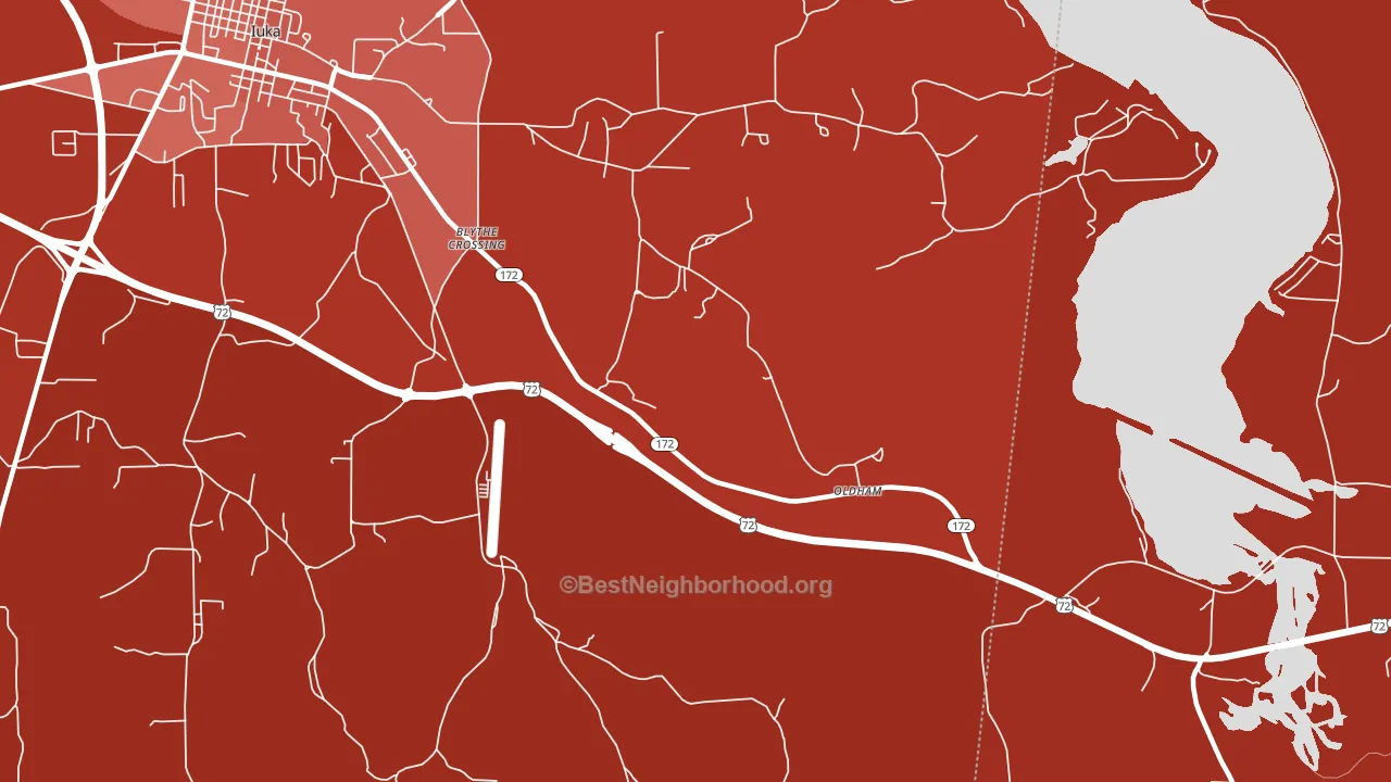 Oldham, MS block-group political-lean map